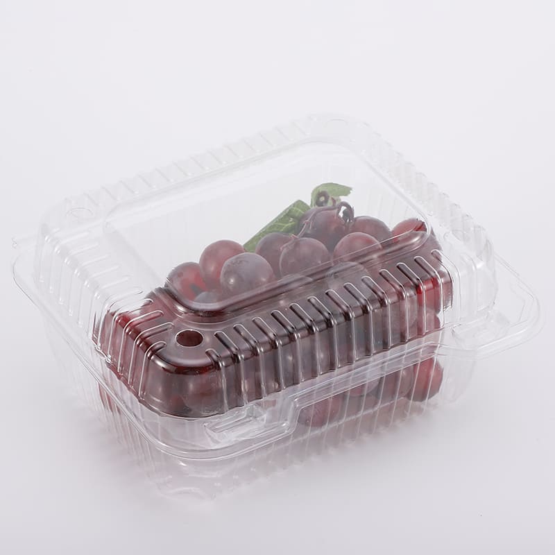 PET Container & Tray Series