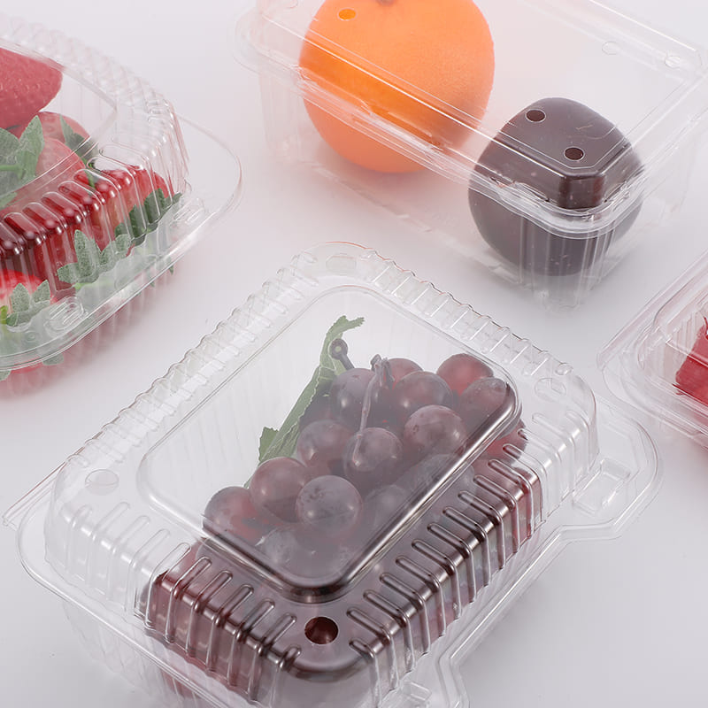 PET Container & Tray Series