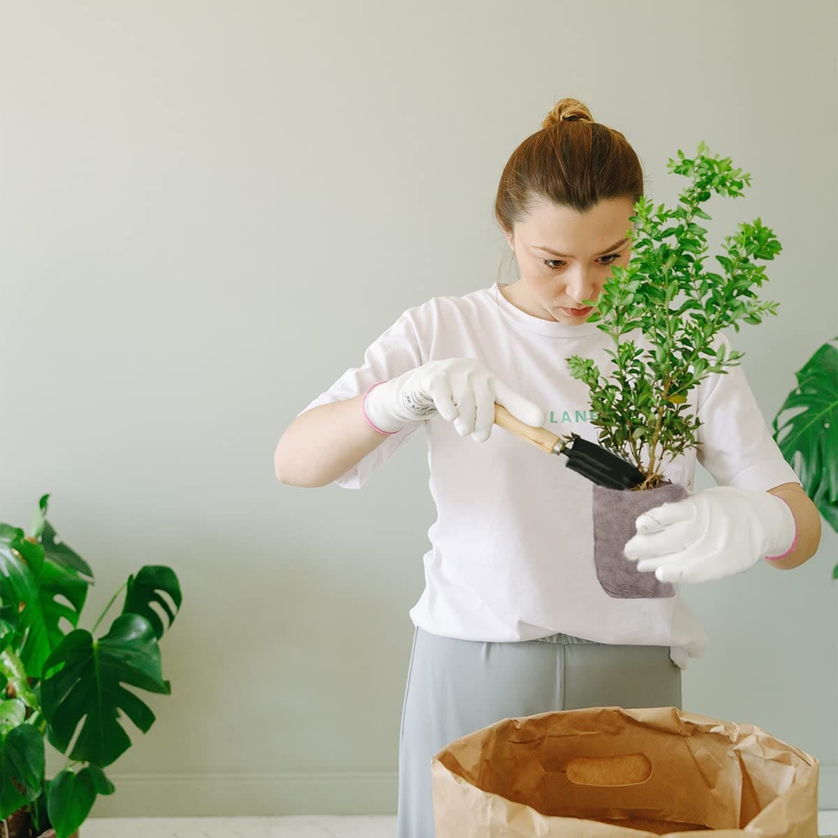 Non-Woven Bag Plant Nursery Bags