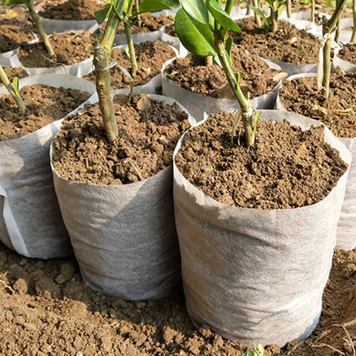 Non-Woven Bag Plant Nursery Bags