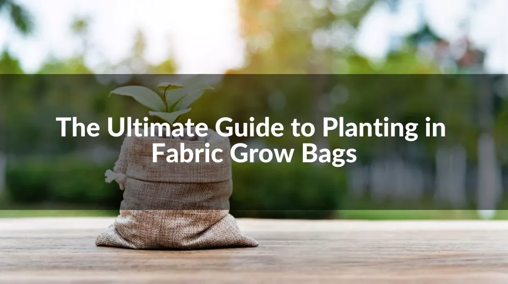 fabric grow bags