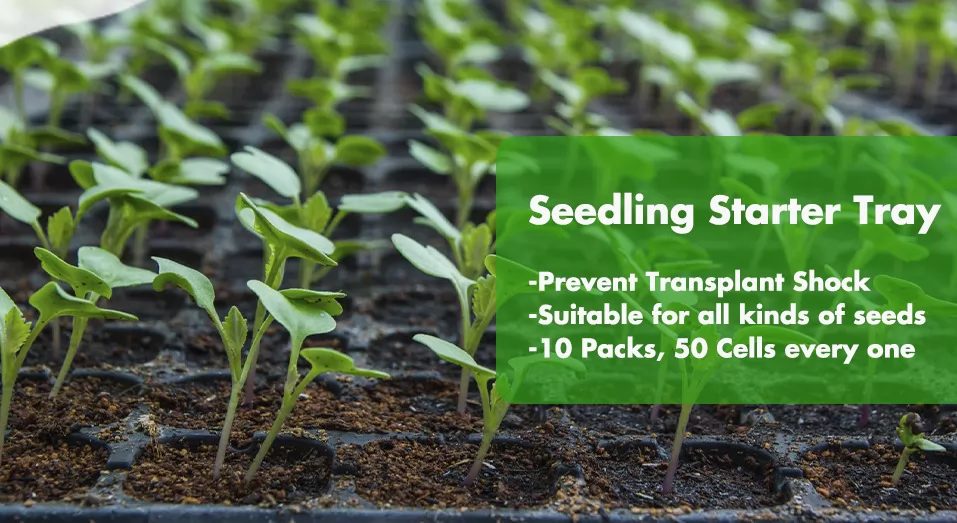 seedling tray