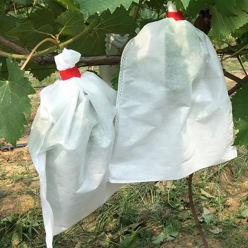 Non-woven fabric Fruit Grow Bags Prevent bird