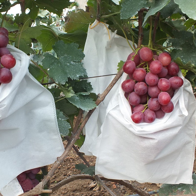 Non-woven fabric Fruit Grow Bags Prevent bird