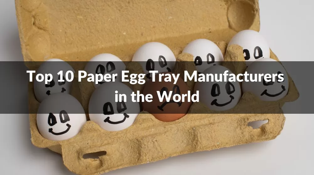 Paper Egg Tray Manufacturers