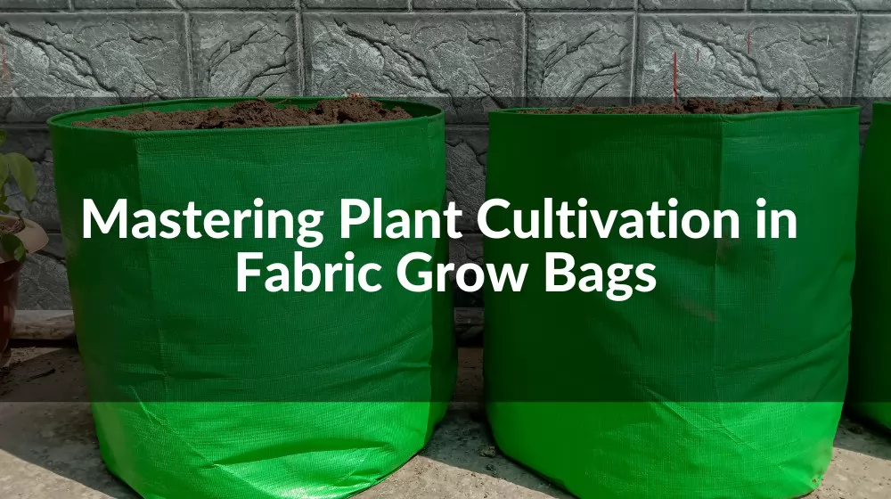 Non Woven Plant Growing Bags