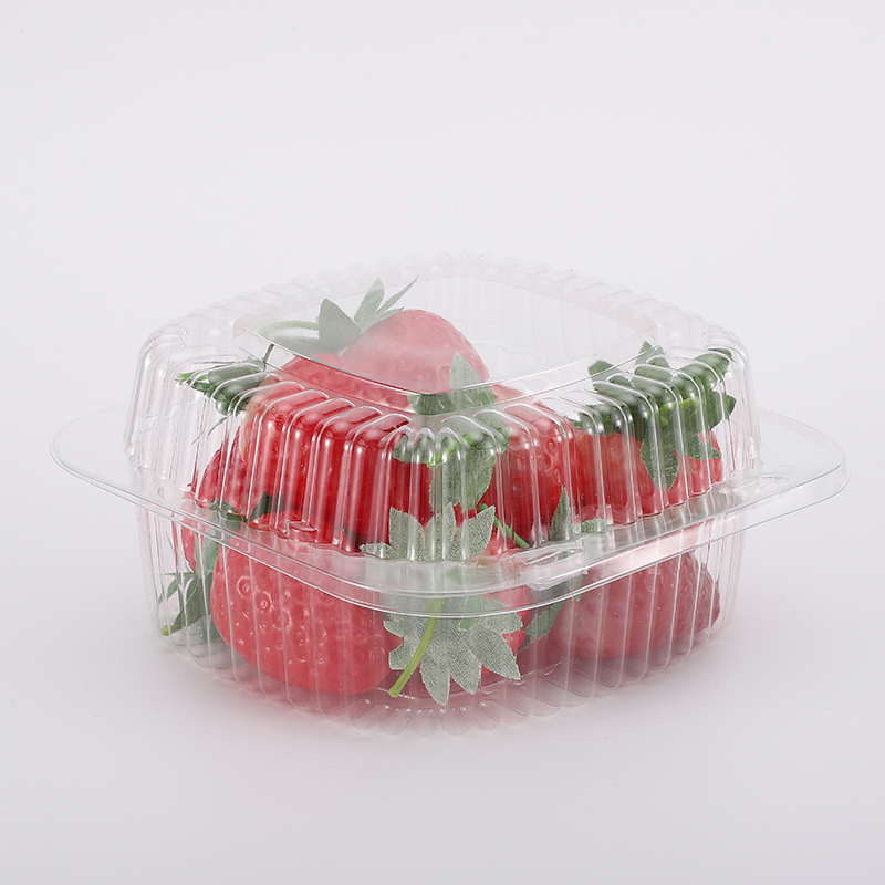 Disposable Rectangle PET Plastic Clamshell/Hinged Food/Cake Packaging Containers