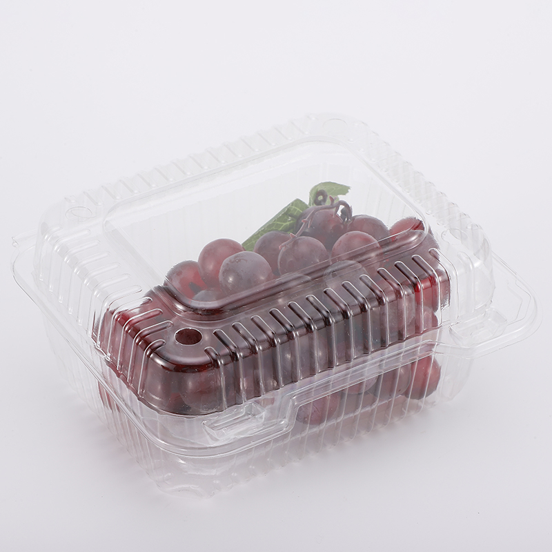 Disposable Rectangle PET Plastic Clamshell/Hinged Food/Cake Packaging Containers