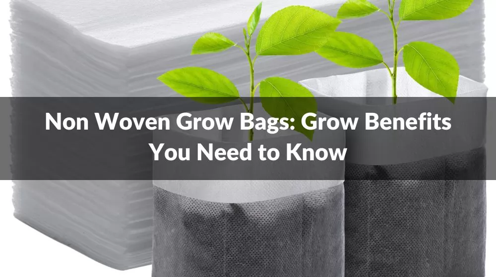 Non Woven Grow Bags