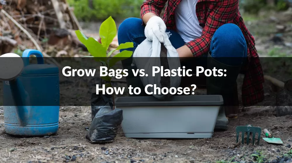 Grow Bags vs. Plastic Pots