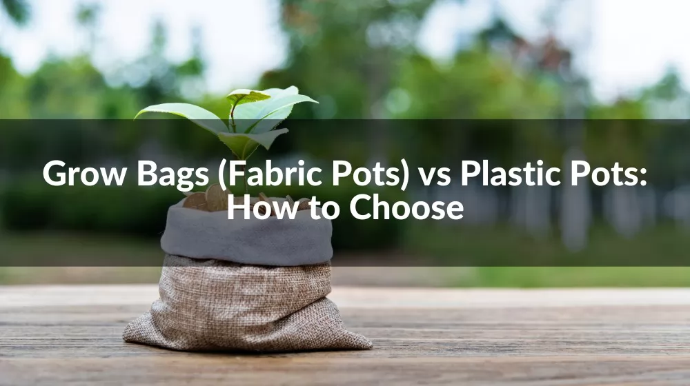 Grow Bags (Fabric Pots) vs Plastic Pots