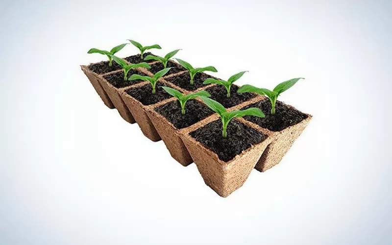 The Best Seedling Start Trays 