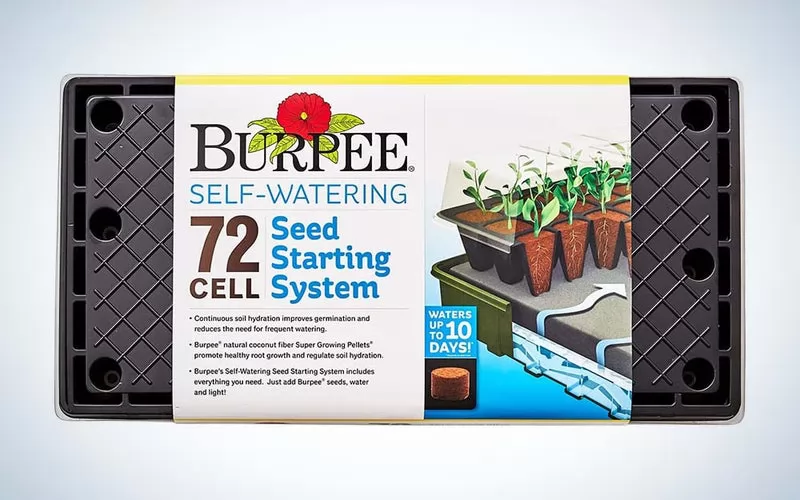 best seed starting trays