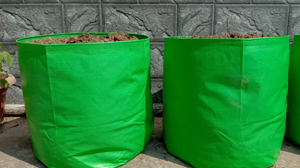 Grow Bags (Fabric Pots) vs Plastic Pots