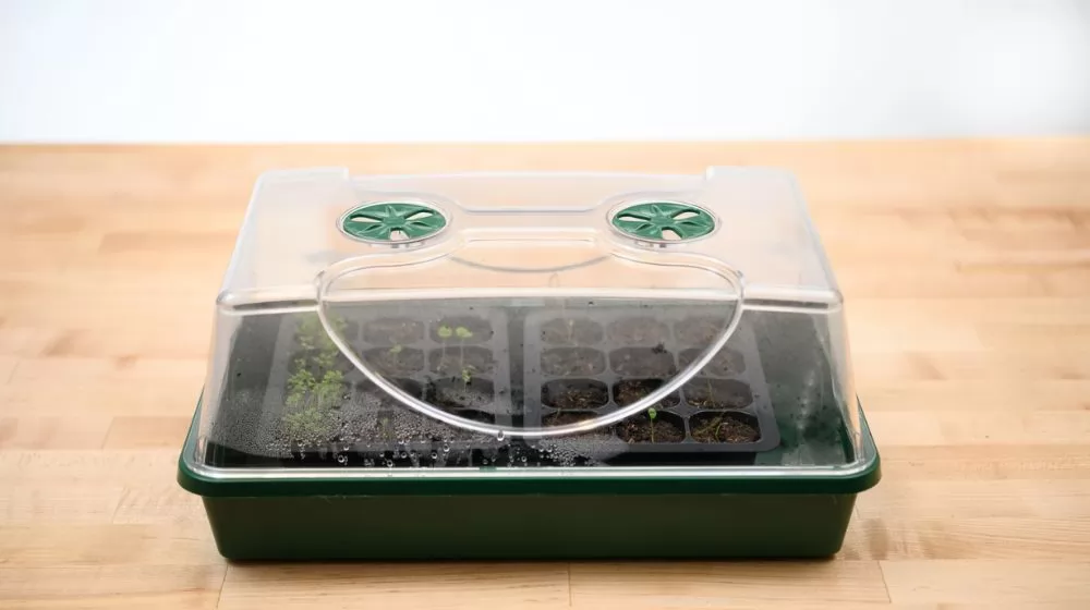 Best Seed Starter Kits