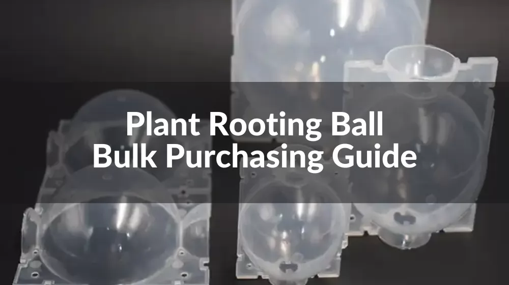 plant rooting ball