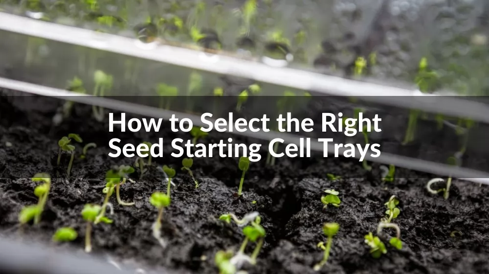 seed starting cell tray