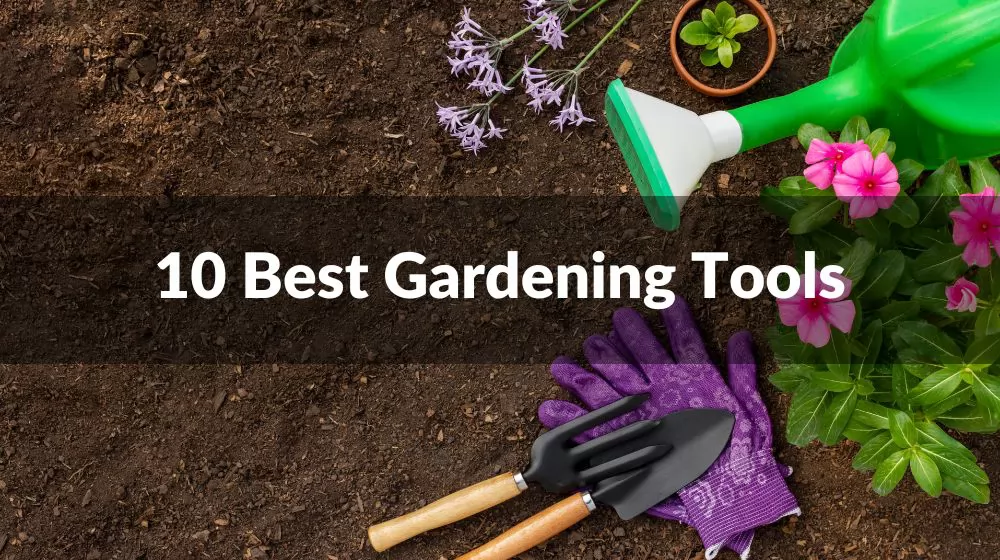 Best Gardening Tools