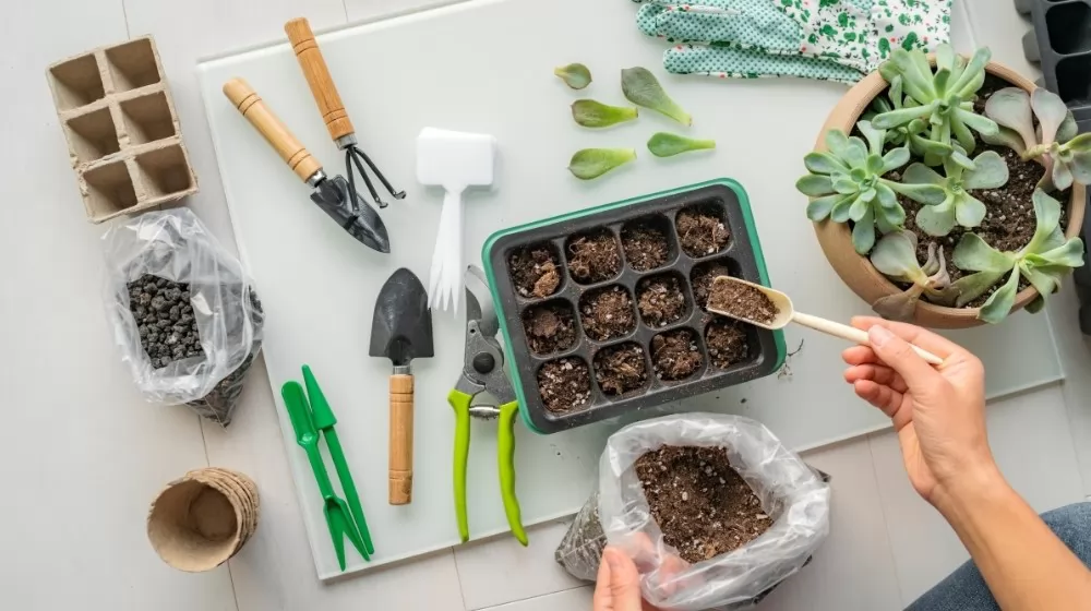 Organic Seed Starting Kits