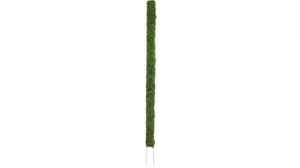 Best Moss Poles for Plants