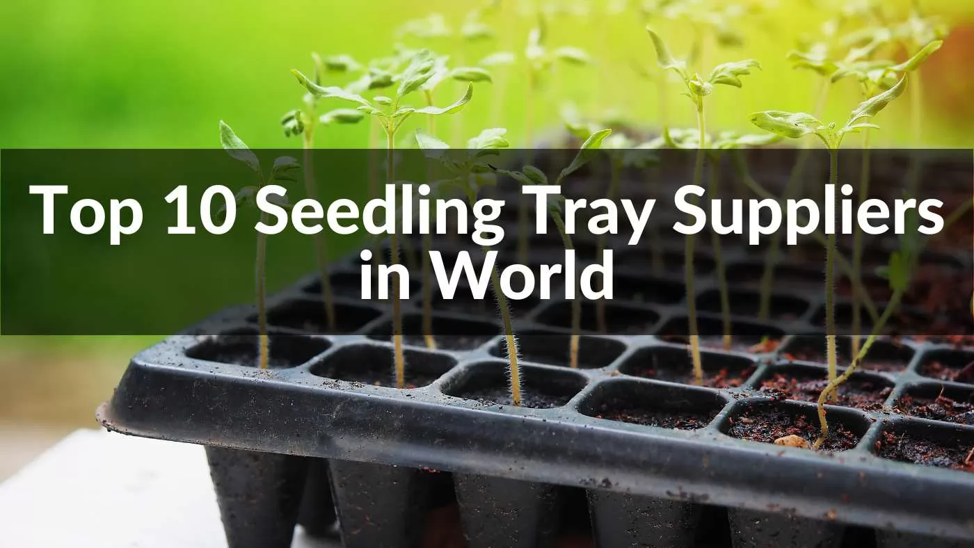 top 10 seedling tray suppliers and manufacturers